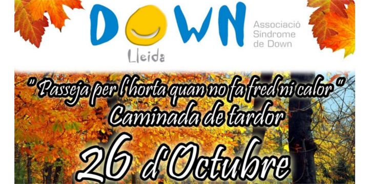 caminada down
